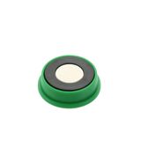 Office magnet, neodymium, round, green